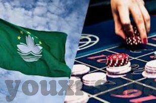 阿根廷世界杯第一场-阿根廷世界杯第一场，梦想启航与激情碰撞